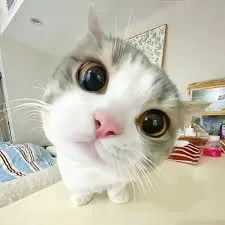 德学院-最专业的华人德州扑克学习与策略分享社区